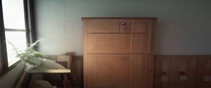 文学研究者在书架前翻阅网络文学作品合集，暖黄书房环境，与嫂子小说等文学类内容研究相关